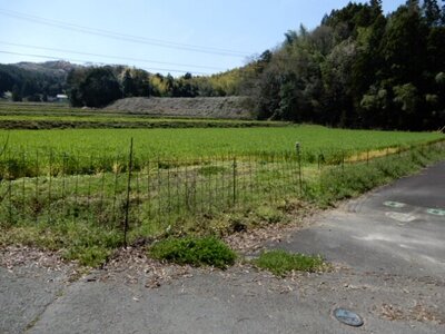 香川県仲多度郡まんのう町 塩入駅21分 農地 20万円の官公庁公売物件 #1