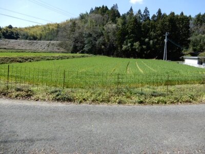 香川県仲多度郡まんのう町 塩入駅21分 農地 20万円の官公庁公売物件 #2