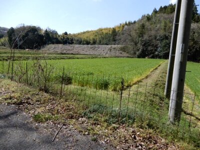 香川県仲多度郡まんのう町 塩入駅21分 農地 24万円の官公庁公売物件 #1