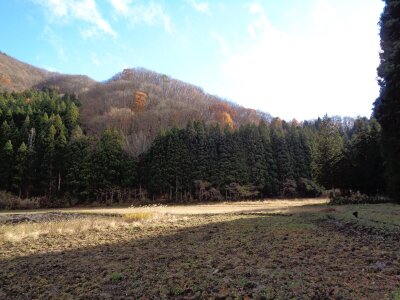 福島県郡山市 土地 55万円の官公庁公売物件 #1