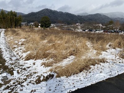 広島県東広島市 みどり中街駅 農地 56万円の官公庁公売物件 #1