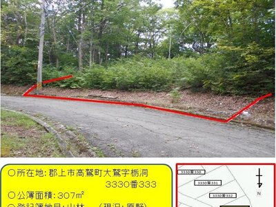 (値下げ) 岐阜県郡上市 北濃駅 土地 66万円の官公庁公売物件 #1