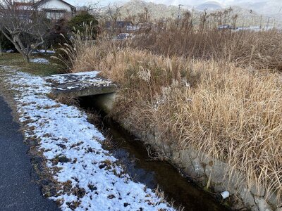 広島県東広島市 みどり中街駅 農地 81万円の官公庁公売物件 #1