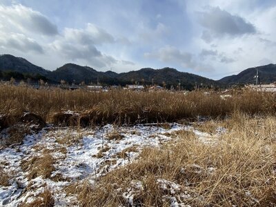 広島県東広島市 みどり中街駅 農地 81万円の官公庁公売物件 #3