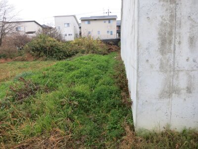 奈良県橿原市 橿原神宮前駅14分 農地 197万円の官公庁公売物件 #4