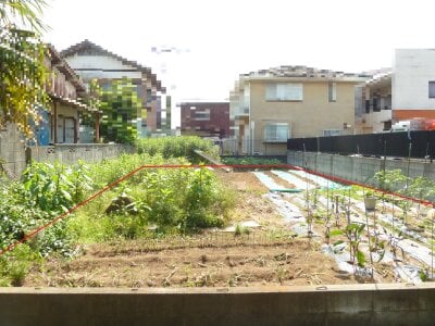 千葉県八街市 八街駅9分 土地 261万円の官公庁公売物件 #6