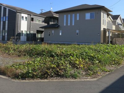 茨城県取手市 ゆめみ野駅1分 土地 397万円の官公庁公売物件 #2