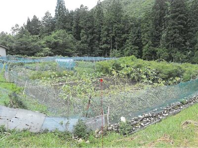 岐阜県郡上市 農地 17万円の競売物件 #3