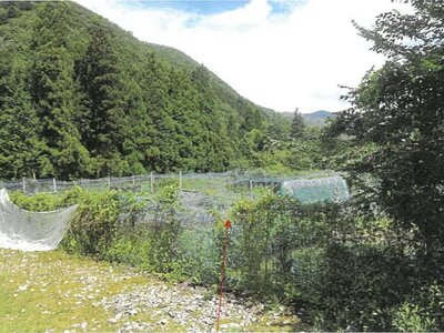 岐阜県郡上市 農地 17万円の競売物件 #4