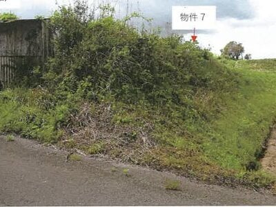 (値下げ) 鹿児島県志布志市 農地 16万円の競売物件 #3