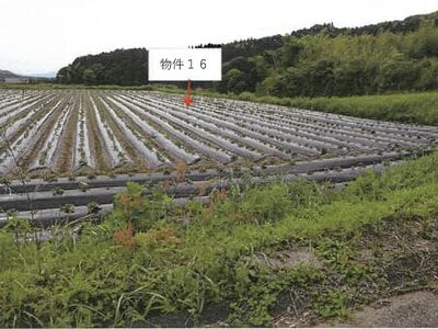 (値下げ) 鹿児島県志布志市 農地 14万円の競売物件 #1