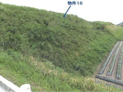 (値下げ) 鹿児島県志布志市 農地 14万円の競売物件 #7