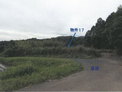 (値下げ) 鹿児島県志布志市 農地 18万円の競売物件 #8