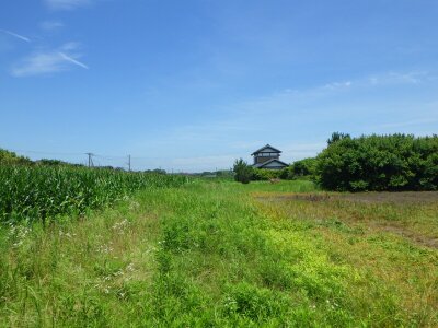 千葉県旭市 干潟駅16分 農地 60万円の官公庁公売物件 #4