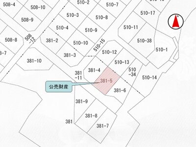 滋賀県蒲生郡日野町 日野駅 土地 67万円の国税庁公売物件 #3