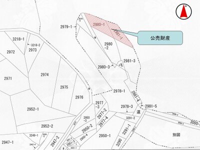 大阪府枚方市 大住駅 土地 115万円の国税庁公売物件 #4