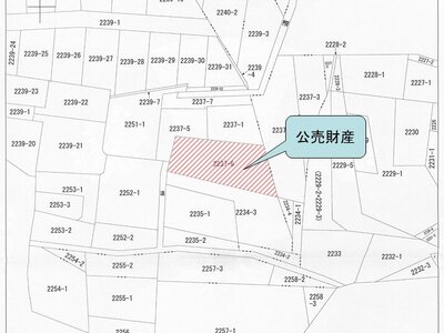 大阪府羽曳野市 古市駅12分 一戸建て 2,552万円の国税庁公売物件 #3