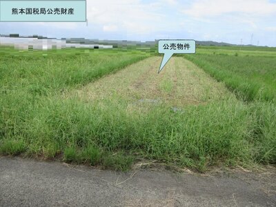 (値下げ) 宮崎県宮崎市 宮崎神宮駅 農地 5万円の国税庁公売物件 #1