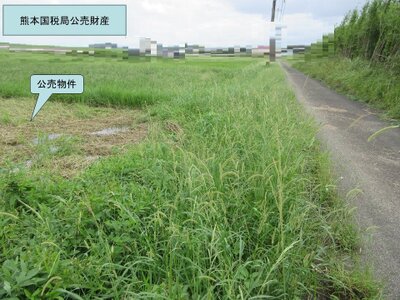 (値下げ) 宮崎県宮崎市 宮崎神宮駅 農地 5万円の国税庁公売物件 #3