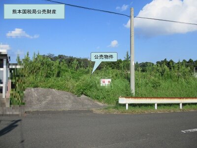 鹿児島県鹿屋市 農地 580万円の国税庁公売物件 #2