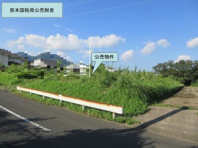 鹿児島県鹿屋市 農地 580万円の国税庁公売物件 #4