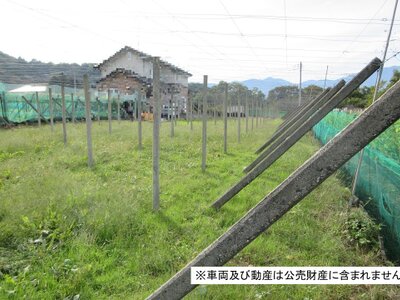 山梨県西八代郡市川三郷町 市川本町駅2分 農地 40万円の国税庁公売物件 #1