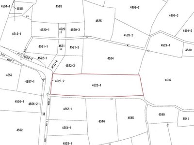 山梨県西八代郡市川三郷町 市川本町駅2分 農地 40万円の国税庁公売物件 #3