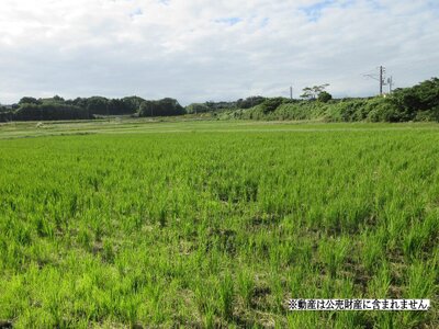 千葉県銚子市 椎柴駅28分 農地 41万円の国税庁公売物件 #1