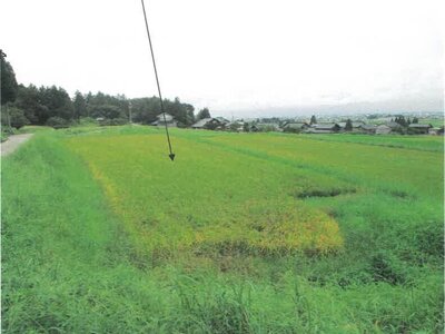 (値下げ) 富山県富山市 千里駅27分 農地 7,000円の競売物件 #3