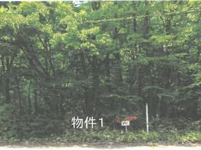 (値下げ) 栃木県那須郡那須町 土地 51万円の競売物件 #3