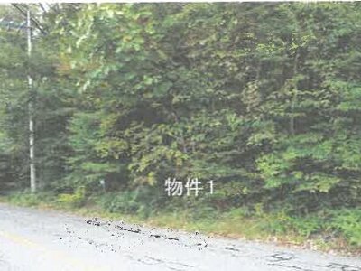 栃木県那須郡那須町 土地 81万円の競売物件 #1