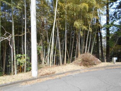 (値下げ) 静岡県伊豆の国市 伊豆多賀駅 土地 2万円の国税庁公売物件 #1