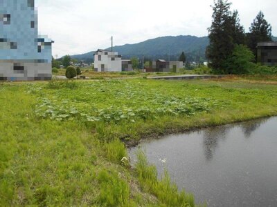 (値下げ) 新潟県魚沼市 越後須原駅18分 農地 3万円の国税庁公売物件 #1