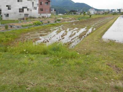 (値下げ) 新潟県魚沼市 越後須原駅18分 農地 25万円の国税庁公売物件 #1