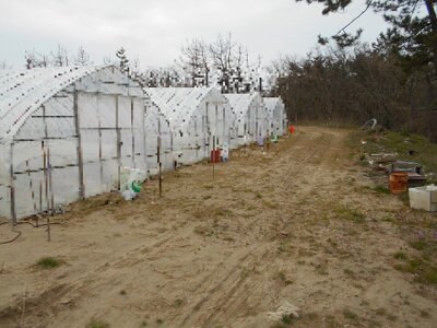 新潟県新潟市西区 内野西が丘駅23分 農地 31万円の国税庁公売物件 #1