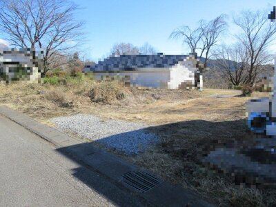 栃木県日光市 明神駅13分 農地 69万円の国税庁公売物件 #1