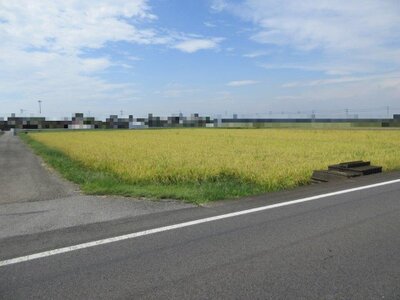 栃木県真岡市 久下田駅 農地 110万円の国税庁公売物件 #1