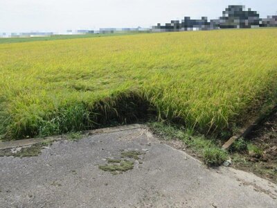 栃木県真岡市 久下田駅 農地 110万円の国税庁公売物件 #2