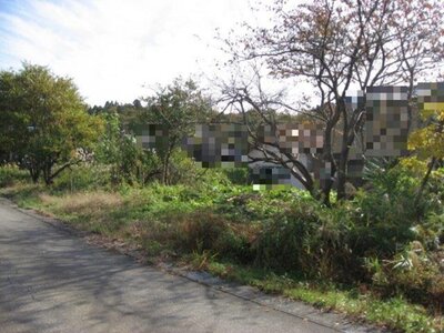 新潟県柏崎市 礼拝駅8分 土地 190万円の国税庁公売物件 #1