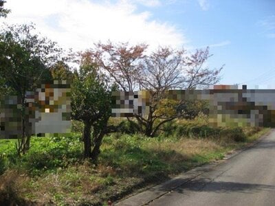 新潟県柏崎市 礼拝駅8分 土地 190万円の国税庁公売物件 #2
