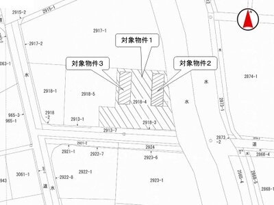 新潟県新潟市南区 田上駅 戸建て 885万円の国税庁公売物件 #3