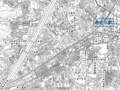 神奈川県秦野市 東海大学前駅18分 土地 60万円の競売物件 #3