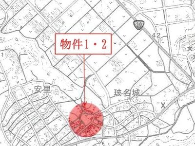 沖縄県島尻郡八重瀬町 戸建て 1,568万円の競売物件 #13