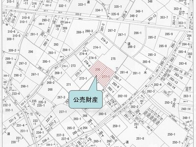 (値下げ) 兵庫県淡路市 土地 134万円の国税庁公売物件 #2