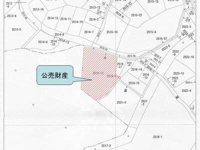 (値下げ) 奈良県生駒市 宝山寺駅6分 土地 138万円の国税庁公売物件 #5