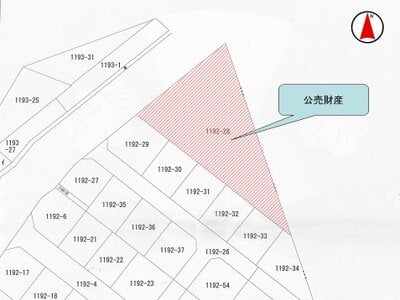 大阪府四條畷市 忍ヶ丘駅14分 土地 1,449万円の国税庁公売物件 #5