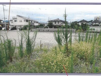 山梨県中央市 常永駅20分 農地 937万円の競売物件 #4