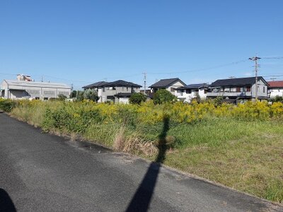 岐阜県羽島市 竹鼻駅26分 農地 113万円の国税庁公売物件 #1