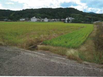 和歌山県日高郡日高町 紀伊内原駅15分 農地 143万円の競売物件 #1