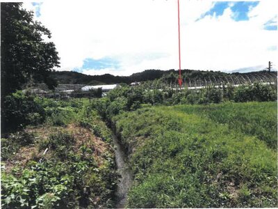 (値下げ) 宮崎県宮崎市 農地 116万円の競売物件 #9